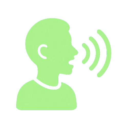 Ícone 1